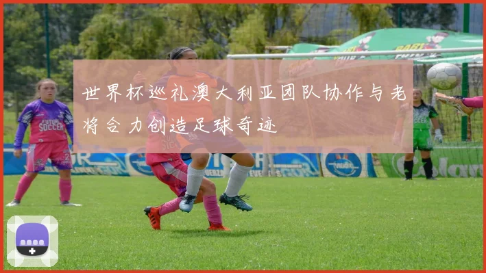 世界杯巡礼澳大利亚团队协作与老将合力创造足球奇迹