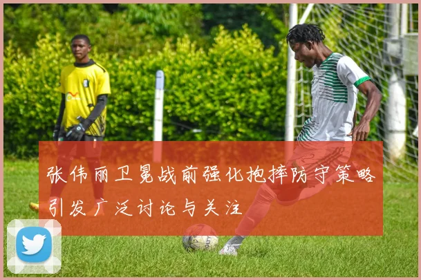 张伟丽卫冕战前强化抱摔防守策略引发广泛讨论与关注